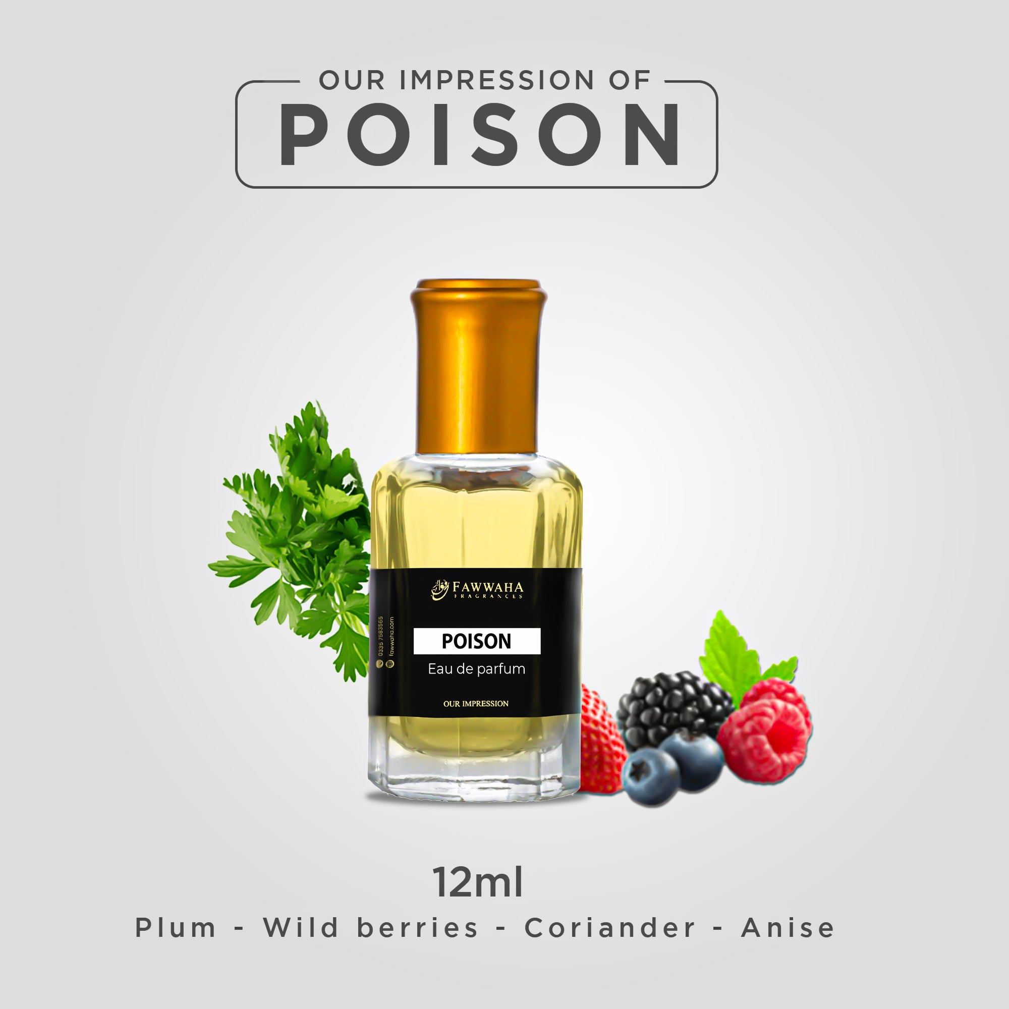 NOOR (OUR IMPRESSION OF POISON ) (12 ML)