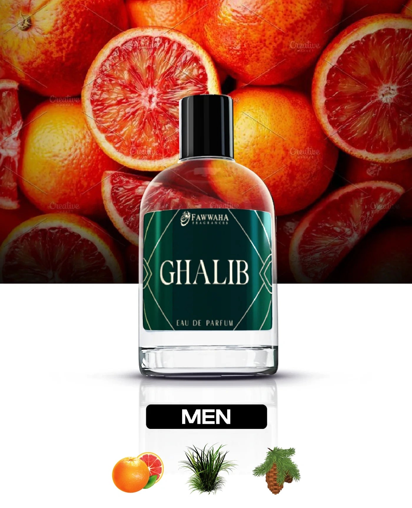 GHALIB - OUR IMPRESSION OF DAVID BECKHAM