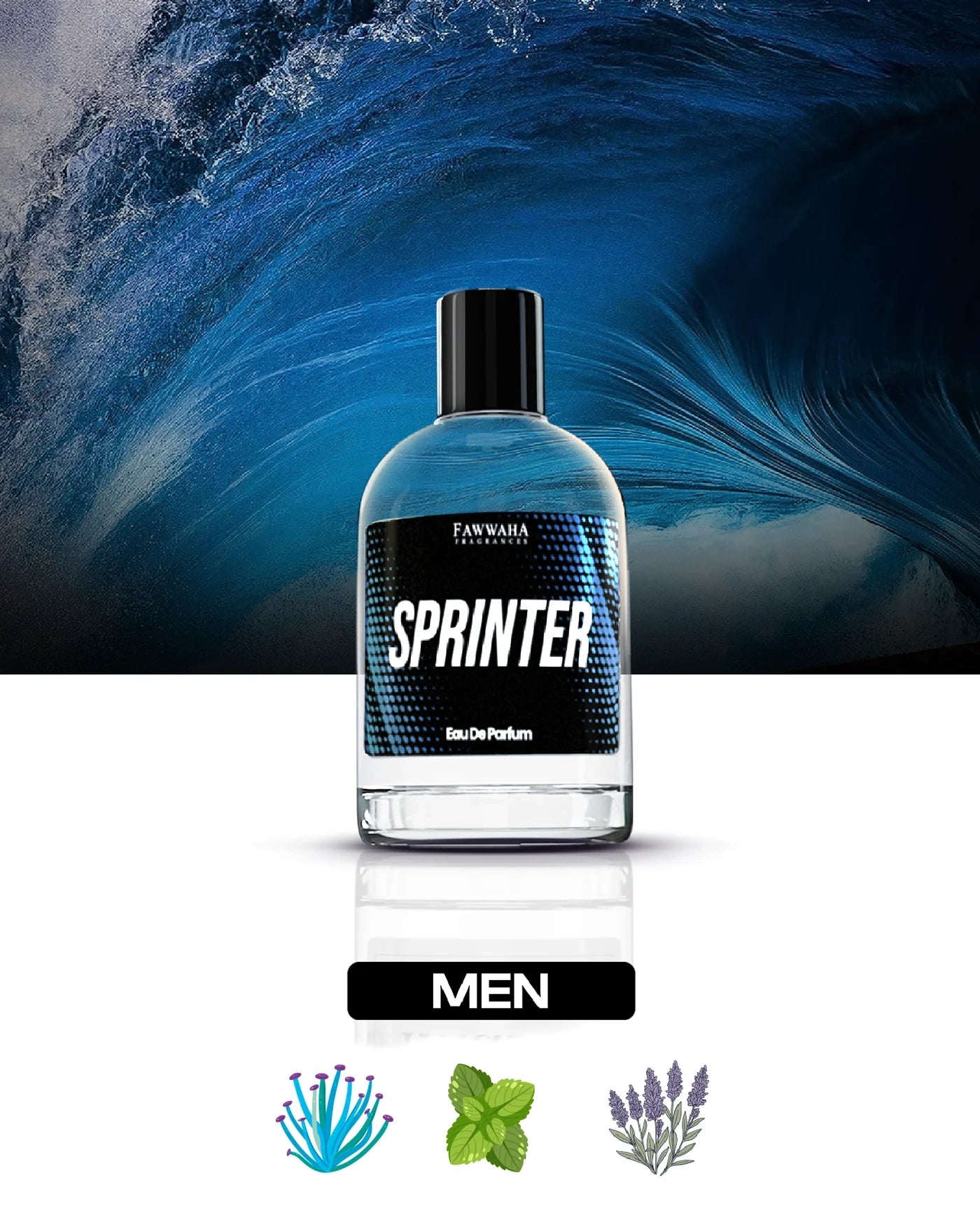 SPRINTER - OUR IMPRESSION OF COOL WATER