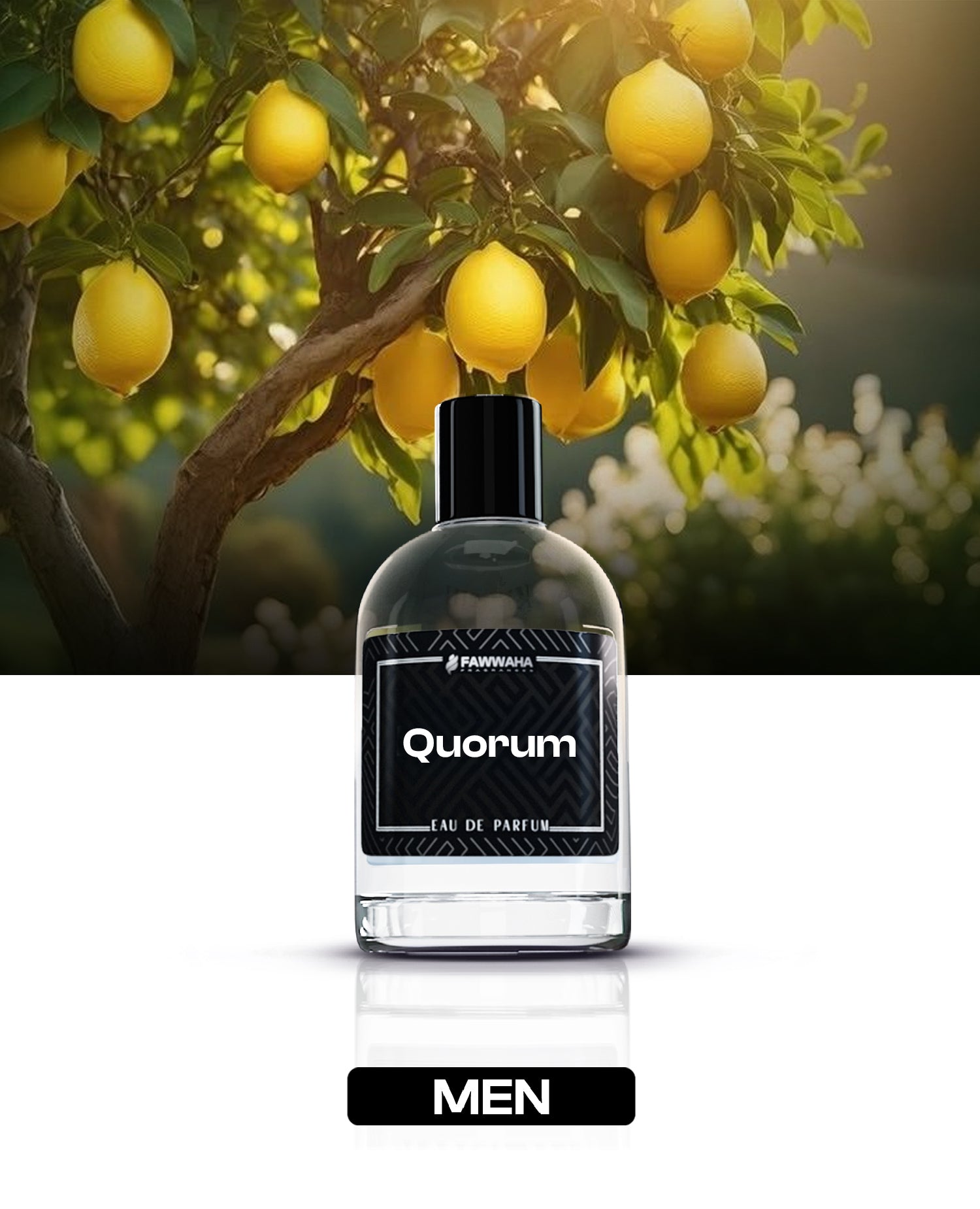 OUR IMPRESSION OF QUORUM