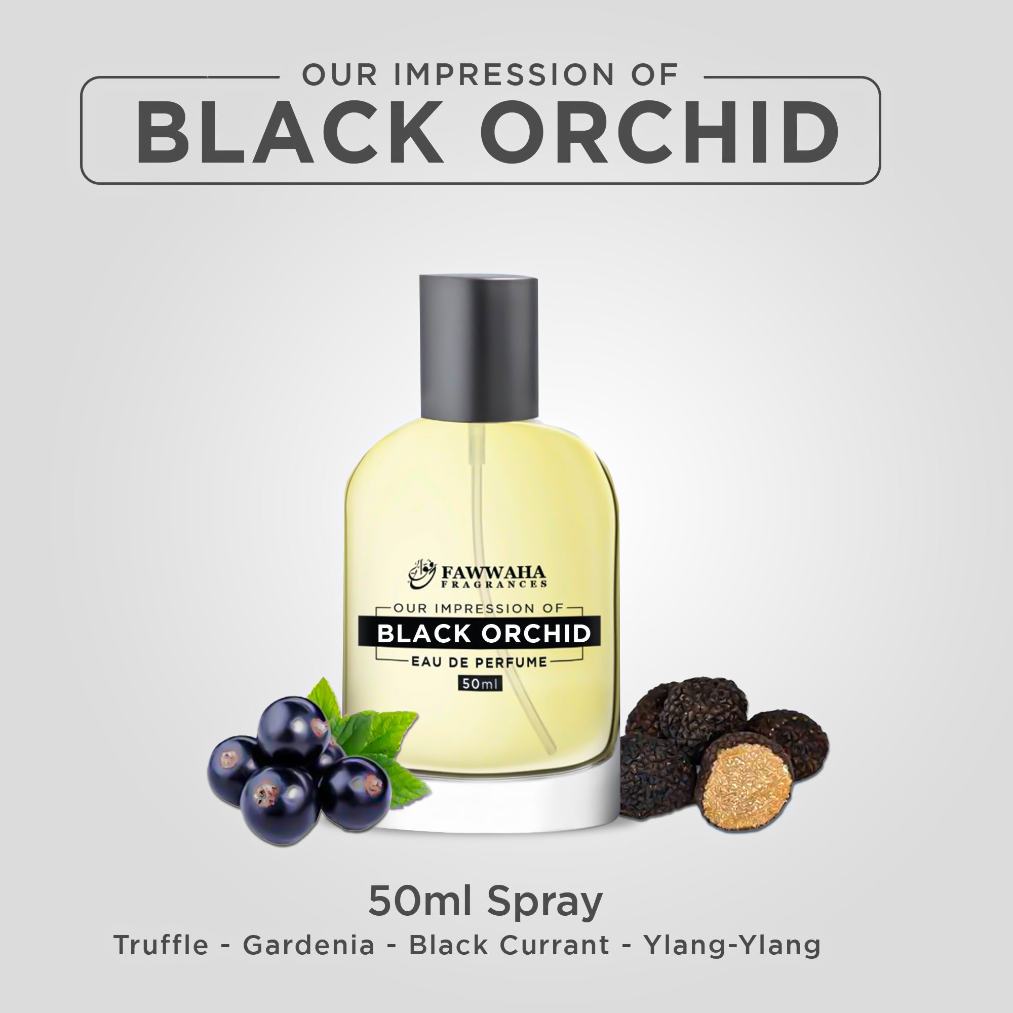 OUR IMPRESSION OF BLACK ORCHID