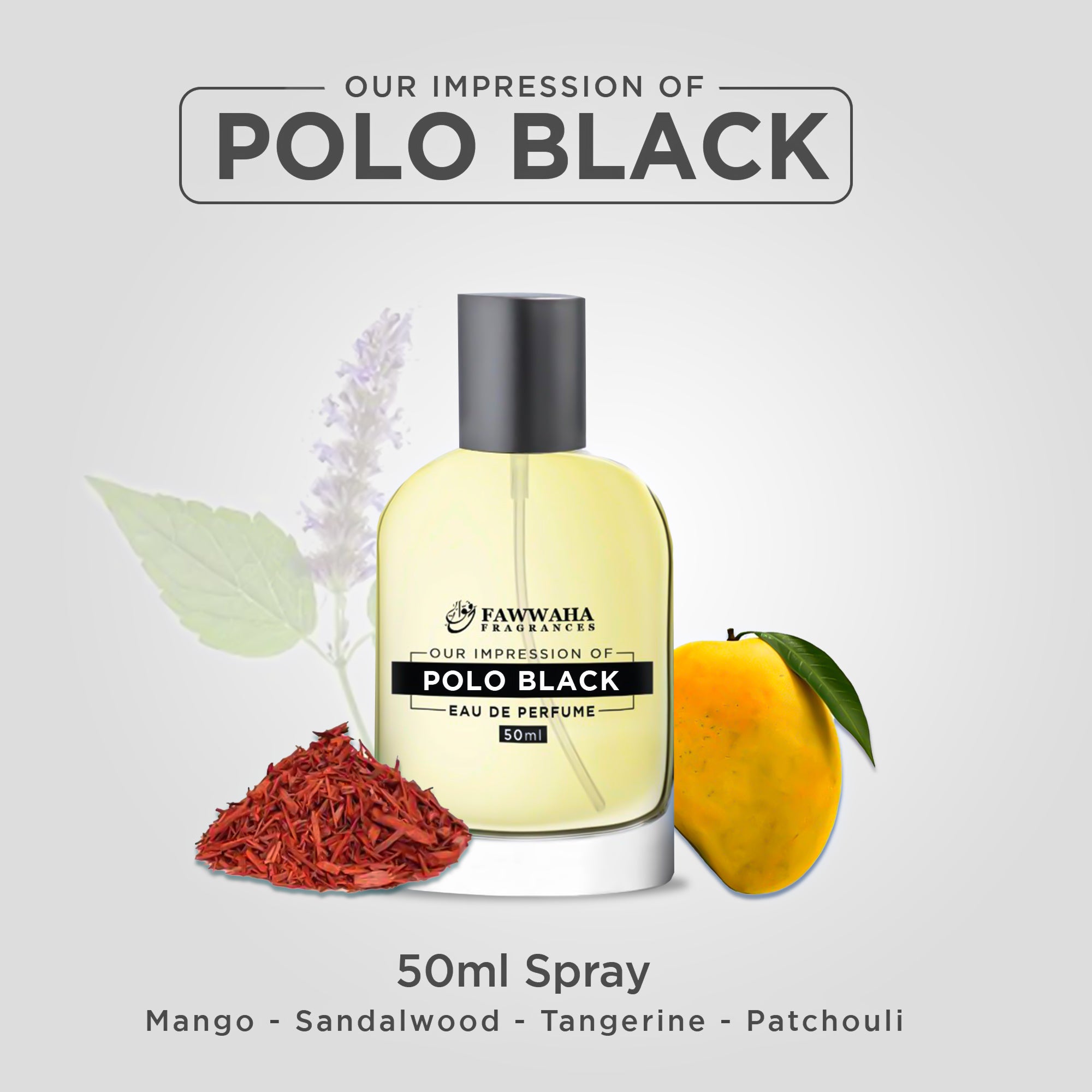 OUR IMPRESSION OF POLO BLACK