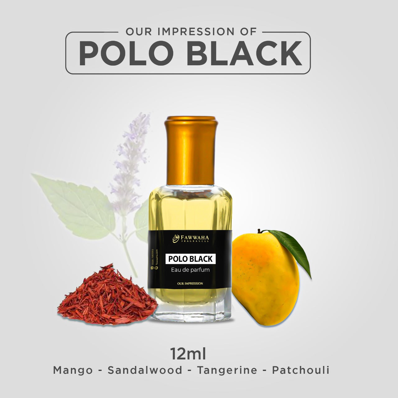 OUR IMPRESSION OF POLO BLACK
