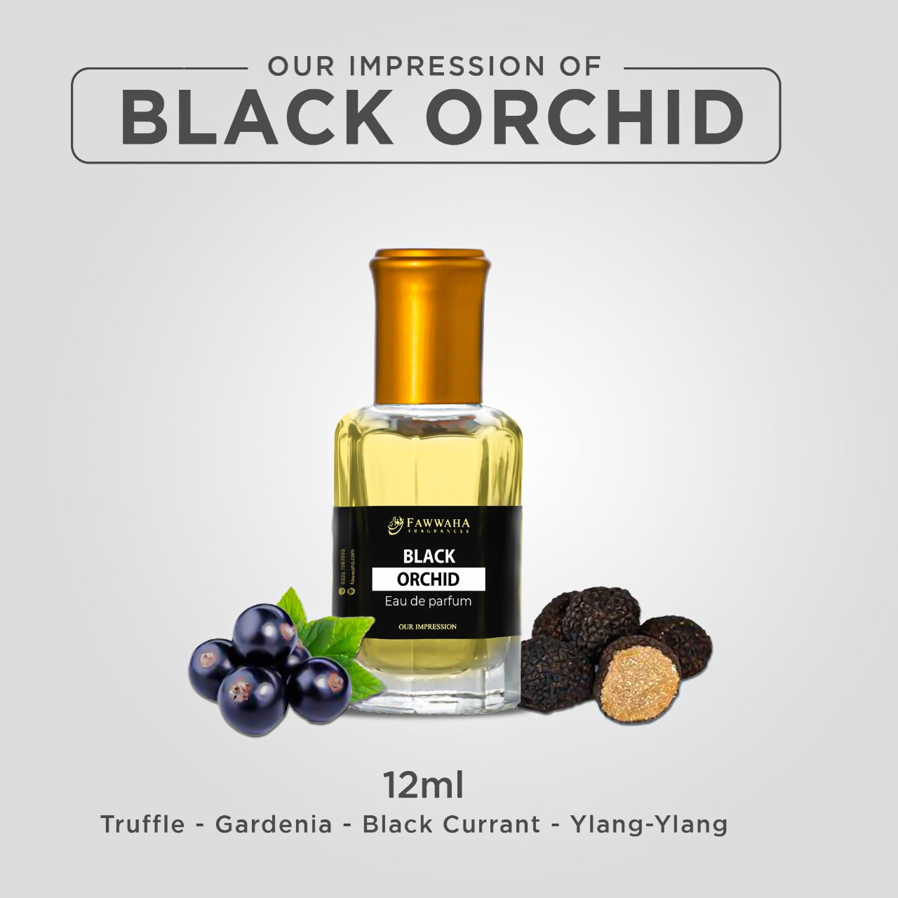 OUR IMPRESSION OF BLACK ORCHID